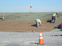 November 2016 - Securing straw matting on SA6 open space area